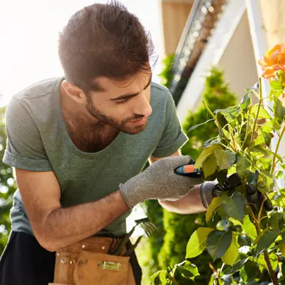 Gardeners